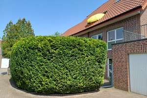 Wunderschöne Maisonette-Wohnung – Wohnen wie im eigenen Haus – Die vollständige Adresse der Immobilie erhältst du vom Anbieter., 48163 Mecklenbeck, Münster – Vorschaubild 5