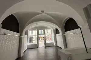Einzeldenkmal mit opulenter Schmuckfassade - Sanierungsobjekt im Herzen der Altstadt – Gera – Vorschaubild 3