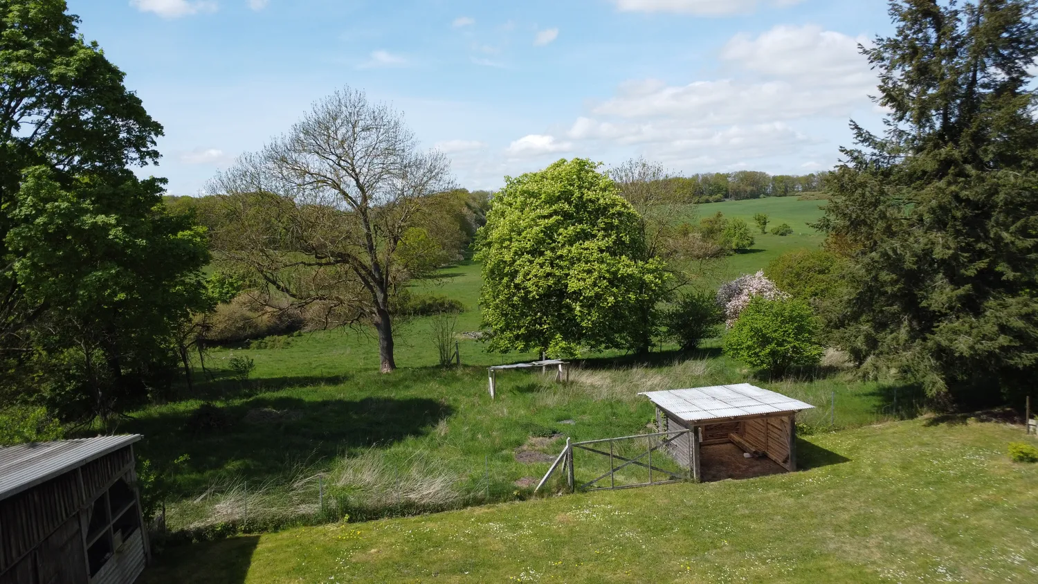 Großzügiges Wohn- und Ferienensemble in der Feldberger Seenlandschaft!, Mecklenburgische Seenplatte Kreis – Bild 4