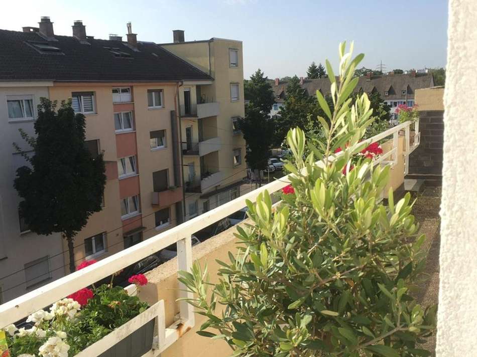 PHOTO20230810173816
