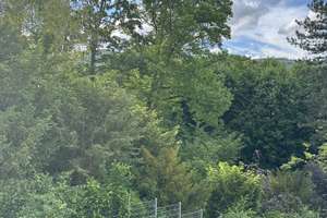 Modernes Penthouse mit Dachterrasse in Heidelberg Schlierbach- provisionsfrei – Die vollständige Adresse der Immobilie erhältst du vom Anbieter., 69118 Schlierbach, Heidelberg – Vorschaubild 5