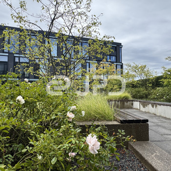 JPD - Neubau I Arbeiten in Moosach 