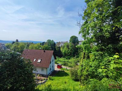 Wer weckt mich aus dem Dornröschenschlaf? Seltenes Grundstück wie im Märchen