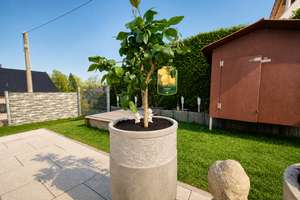 Attraktive Erdgeschosswohnung mit Garten in Lenting incl. TG-Stellplatz – Die vollständige Adresse der Immobilie erhältst du vom Anbieter., 85101 Lenting – Vorschaubild 6