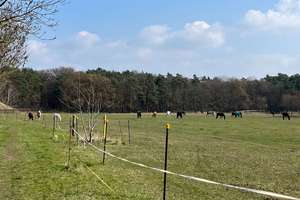 Verkauf eines 96 qm eingeschossigen Reihenhauses in sehr ruhiger Anliegerstraße nahe des Nymphensees – Die vollständige Adresse der Immobilie erhältst du vom Anbieter., 14612 Falkensee – Vorschaubild 15
