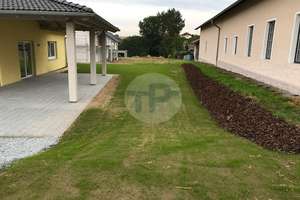 WALMDACHBUNGALOW MIT GARAGE UND CARPORT IN TRAUMHAFTER SIEDLUNGSRANDLAGE – Die vollständige Adresse der Immobilie erhältst du vom Anbieter., 94474 Vilshofen an der Donau – Vorschaubild 6