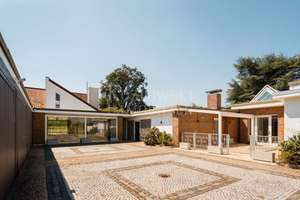 In Privatstraße am Feldrand - Design-Bungalow mit großem Traumgarten! – Die vollständige Adresse der Immobilie erhältst du vom Anbieter., 67454 Haßloch – Vorschaubild 3