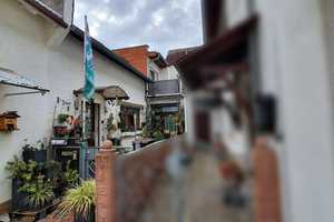 HEMING-IMMOBILIEN -  hübsches Haus - vermietet als Kapitalanlage – Mainz-Bingen (Kreis) – Vorschaubild 5