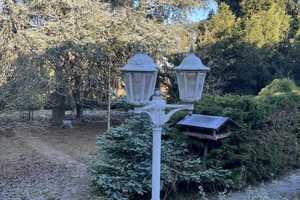 Gartenliebhaber  - Freistehendes Einfamilienhaus - mit großen Garten – Rheingau-Taunus-Kreis – Vorschaubild 8