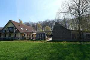 Pferderanch mit drei Wohneinheiten und 2Ha Weideland direkt am Reichswald. – Grafwegenerstraße 16, 47559 Kleve (Kreis) – Vorschaubild 54