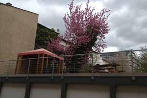 2 Zimmer-Wohnung im Zentrum – Die vollständige Adresse der Immobilie erhältst du vom Anbieter., 75175 Oststadt, Pforzheim – Vorschaubild 11