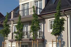 Elegante 3-Zi.-Wohnung in exklusivem Wohnhaus – 81373 Mittersendling, München – Vorschaubild 10