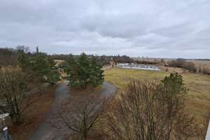 Property thumbnail 19