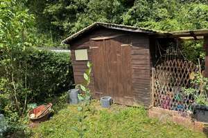 Gute geschnittenes Reihenmittelhaus, Bonn Buschdorf – Die vollständige Adresse der Immobilie erhältst du vom Anbieter., 53117 Tannenbusch, Bonn – Vorschaubild 23