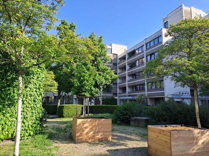 ***barrierefreie 2-Raumwohnung mit Einbauküche und cheapest PKW-Stellplatz in der Nähe vom Stadtzentrum***