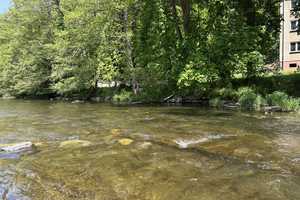 Provisionfrei! Schwarzburg, Mehrfamilienhaus direkt am Fluss – Saalfeld-Rudolstadt (Kreis) – Vorschaubild 6