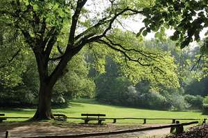 Property thumbnail 14