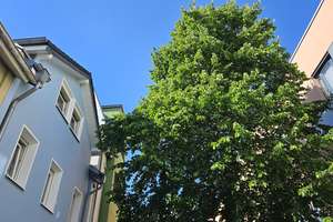 Vielseitig nutzbares Reihenmittelhaus in zentraler Lage – Die vollständige Adresse der Immobilie erhältst du vom Anbieter., 56626 Andernach – Vorschaubild 1