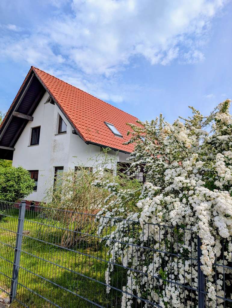 Immobilie in Bergen an der Dumme - Schönes modernes Einfamilienhaus mit direktem Naturzugang - Bild 3