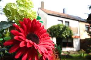 Exklusives Bieterverfahren - Reiheneckhaus mit Garten in Schwabach Wolkersdorf – Backenfeldsteig 16, 91126 Schwabach – Vorschaubild 1