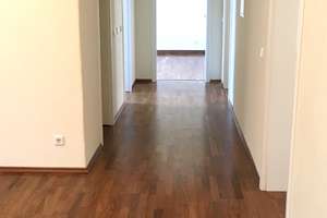 5,5-Zi-Whg - viel Platz ... und nur 500 m zur Wöhrder Wiese – Untere Baustraße 3, 90478 Glockenhof, Nürnberg – Vorschaubild 24