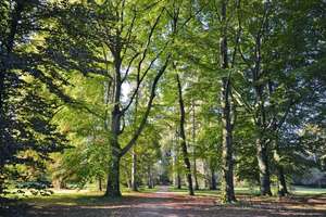 Property thumbnail 14