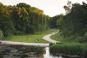 Property thumbnail 24