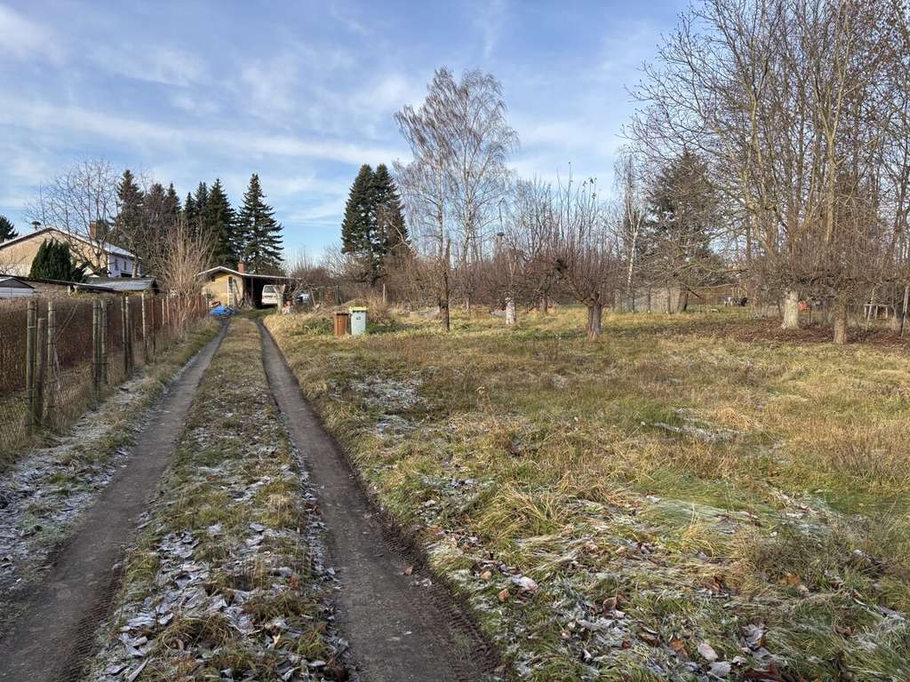 Immobilie in Löbau - Wohnhaus mit Nebengebäude - Bild 1