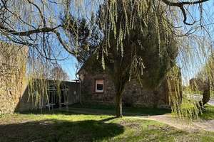 Sanierungsbedürftiges Bauernhaus mit Scheune und großem Grundstück – Dorfstraße 15, 17258 Feldberger Seenlandschaft – Vorschaubild 17