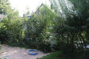 Eigentumswohnung mit weitläufigen natürlichen Garten. Für Naturliebhaber oder Familie mit Kindern – Die vollständige Adresse der Immobilie erhältst du vom Anbieter., 33699 Stieghorst, Bielefeld – Vorschaubild 12