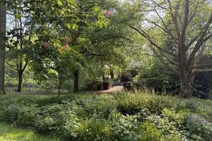Moderne, helle 4-Zimmer-Wohnung in grüner Lage mit Blick in den Kaiserpark (Nähe Stadtwald) – Schönwasserstraße 228, 47800 Bockum, Krefeld – Vorschaubild 30