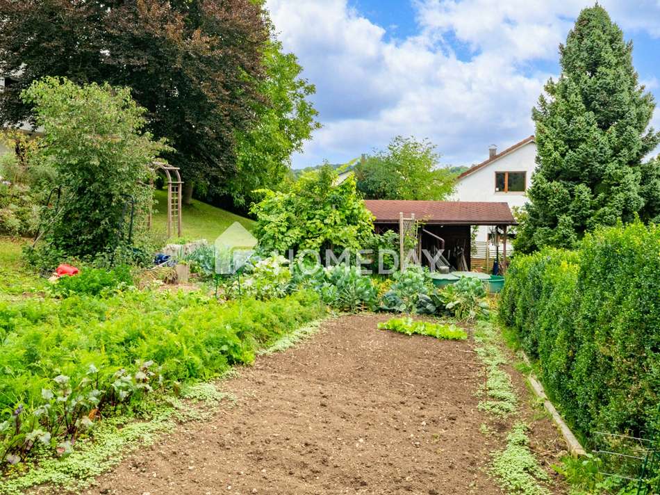Garten 3