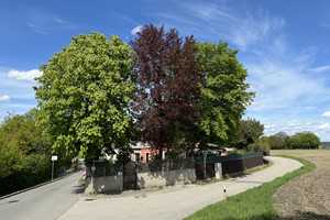 Einzigartige Lage im Grünen und doch zentral: Historisches Stadthaus auf stattlichem Grundstück – Altötting (Kreis) – Vorschaubild 13