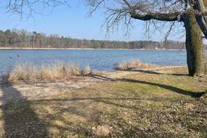 Sommerhaus am See - 60 Minuten von Berlin – Teltow-Fläming (Kreis) – Vorschaubild 3