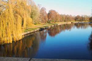 Am Brabandkanal! 1-Zimmer-Wohnung mit Terrasse am Wasser in Alsterdorf! – Die vollständige Adresse der Immobilie erhältst du vom Anbieter., 22297 Alsterdorf, Hamburg – Vorschaubild 15