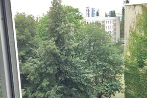 Nette Nachbarn gesucht: 2-Zimmer-Wohnung – Gerokstr. 32, 1307 Johannstadt-Süd, Dresden – Vorschaubild 8