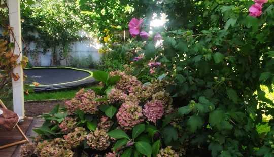 Bild von *Ein Traum für 2 Familien wird wahr* Waldrand