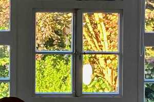Zweifamilienhaus mit verwunschenem Garten in Bielefeld-Schildesche – Bielefeld – Vorschaubild 10
