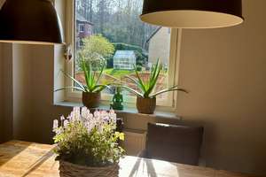 WG-Zimmer in Hamburg-Marmstorf | Waldrand, Garten & Nahe zur TU Hamburg-Harburg – Im Stubben 13a, 21077 Marmstorf, Hamburg – Vorschaubild 7