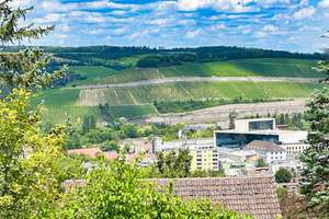 Klassische Unternehmervilla – Die vollständige Adresse der Immobilie erhältst du vom Anbieter., 97082 Zellerau, Würzburg – Vorschaubild 13