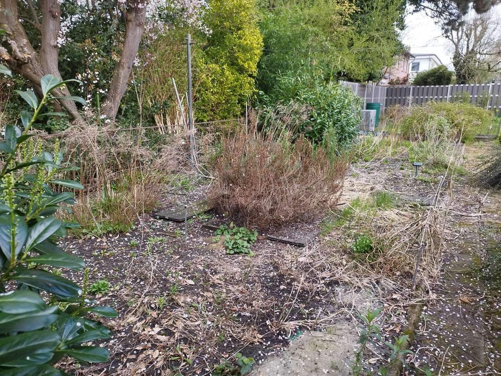 Immobilie in Elmshorn - Mehrfamilienhaus mit großem Garten in Elmshorn - Bild 2