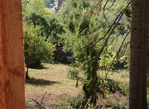 Single wohnung bad driburg