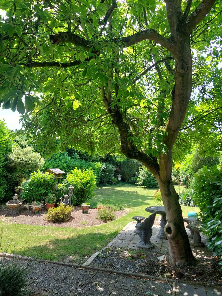 Immobilie in Wesseling - !!! Besichtigung 15.03.26 zwischen 14 und 15 Uhr !!! - Bild 0