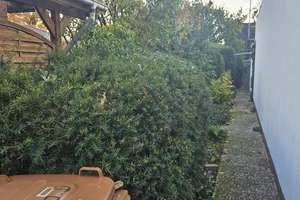 Atrium-Bungalow in Stuhr mit Traumgarten in Sackgassenendlage – Asternweg 10, 28816 Stuhr – Vorschaubild 3