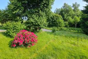 Schwarzwaldhaus im Naturschutzgebiet - Sonnenlage – Oberhöllensteig 6, 79874 Breitnau – Vorschaubild 4