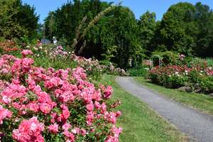 Gemütliche Gartenwohnung zur Miete – Ihre Oase am Westpark in München! – Die vollständige Adresse der Immobilie erhältst du vom Anbieter., 81373 Mittersendling, München – Vorschaubild 12