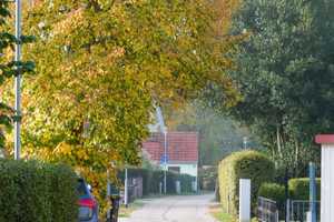 Sonniges Haus unter Reet mit Einligerwhg., 300m zum Meer, Garten + Dachterrasse, offene Gestaltung – Nordvorpommern (Kreis) – Vorschaubild 14