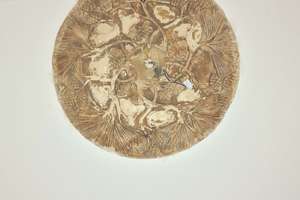 Property thumbnail 20