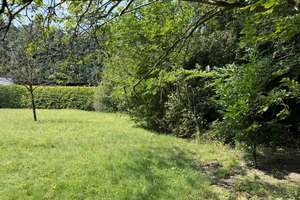 So sehen Träume aus! Imposante Villa auf  9.775 m² parkähnlichem Grundstück und eigenem Wald. – Amtsdamm 65, 27628 Hagen im Bremischen – Vorschaubild 13