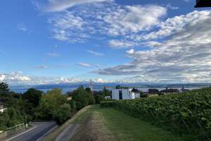 Haus mit traumhafter See-, Alpen-, Fern- und Sternsicht – Die vollständige Adresse der Immobilie erhältst du vom Anbieter., 88709 Meersburg – Vorschaubild 11